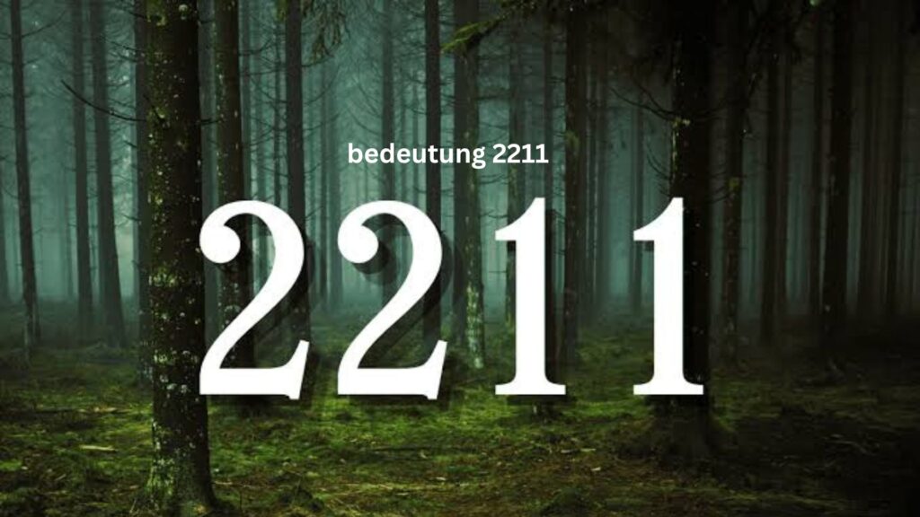 Bedeutung 2211